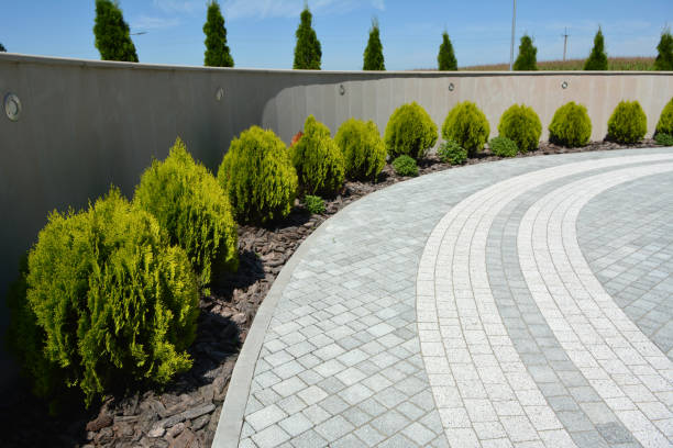 Best Concrete Paver Driveway  in Olive Branch, MS