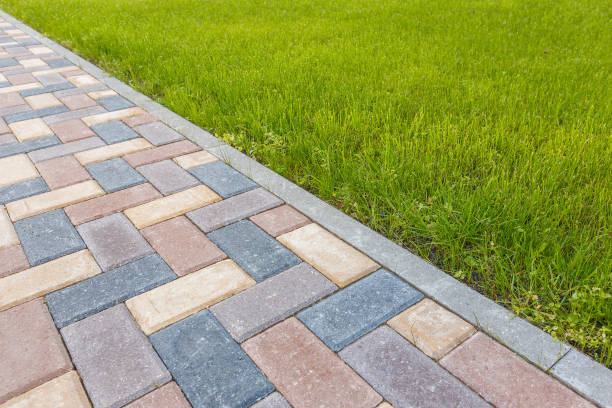 Reasons to Select Us for Your Driveway Paving Requirements in Olive Branch, MS